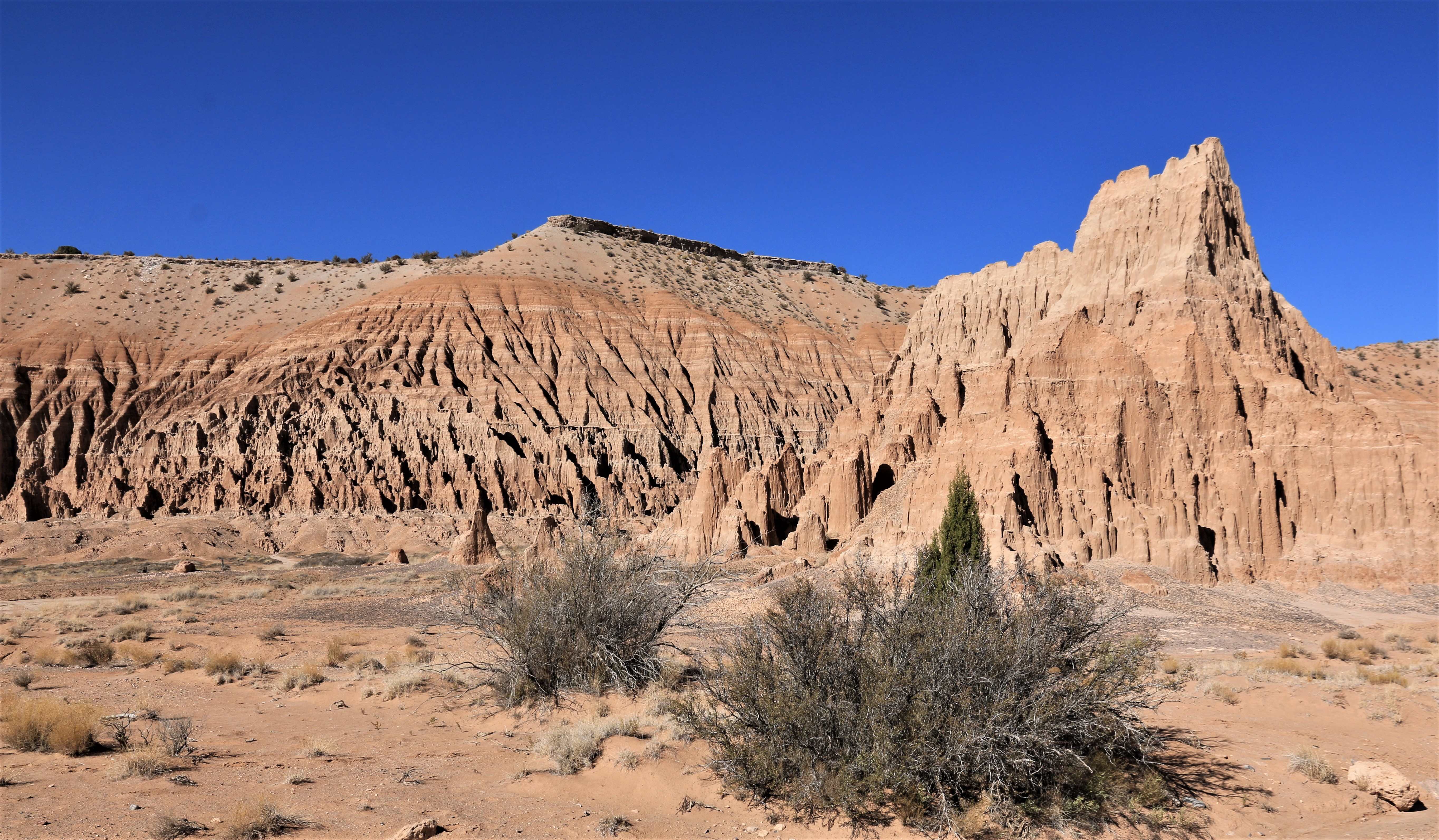 Nevada